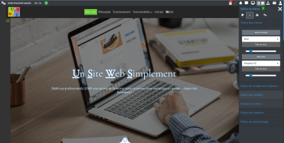 La partie configuration globale du site dans l'édition du thème